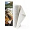 Art Advantage Cloth Plaster Wrap 8 Inch x 15 Feet, Fast Drying Plaster Bandage for Mask Making, Sculpture, Hand Casting and 3D School Projects, Non-Toxic, Cut to Length